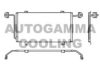 AUTOGAMMA 102564 Condenser, air conditioning